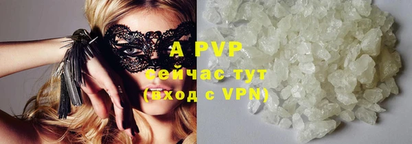ешки Арсеньев