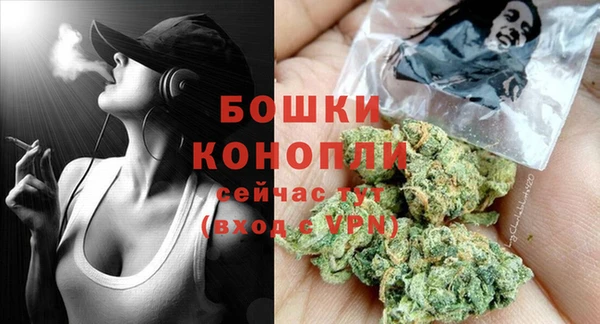 ешки Арсеньев