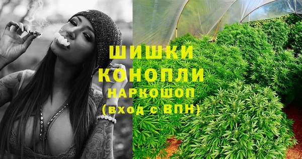 ешки Арсеньев