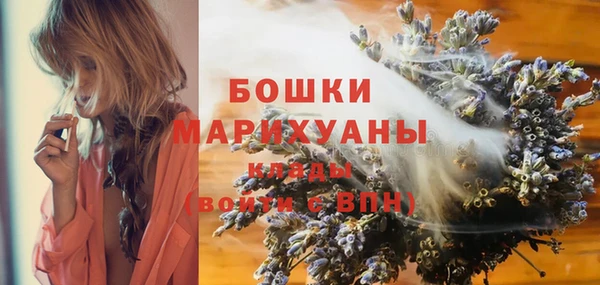 ешки Арсеньев