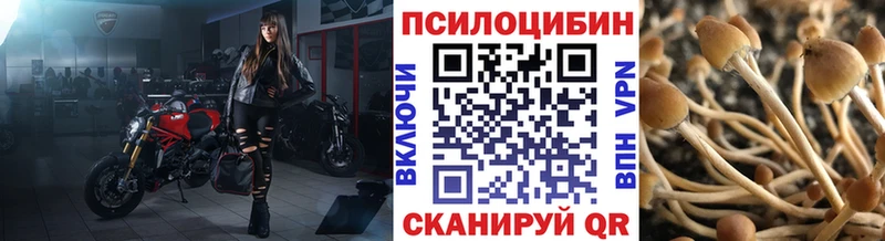 купить   Поронайск  Галлюциногенные грибы мухоморы 